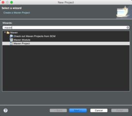软件开发 超越代码的艺术与工程